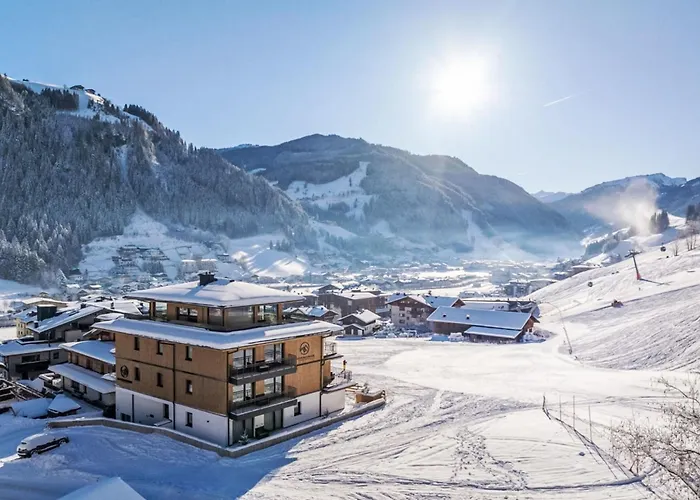 Mountain Nr 102 By Interhome * Grossarl